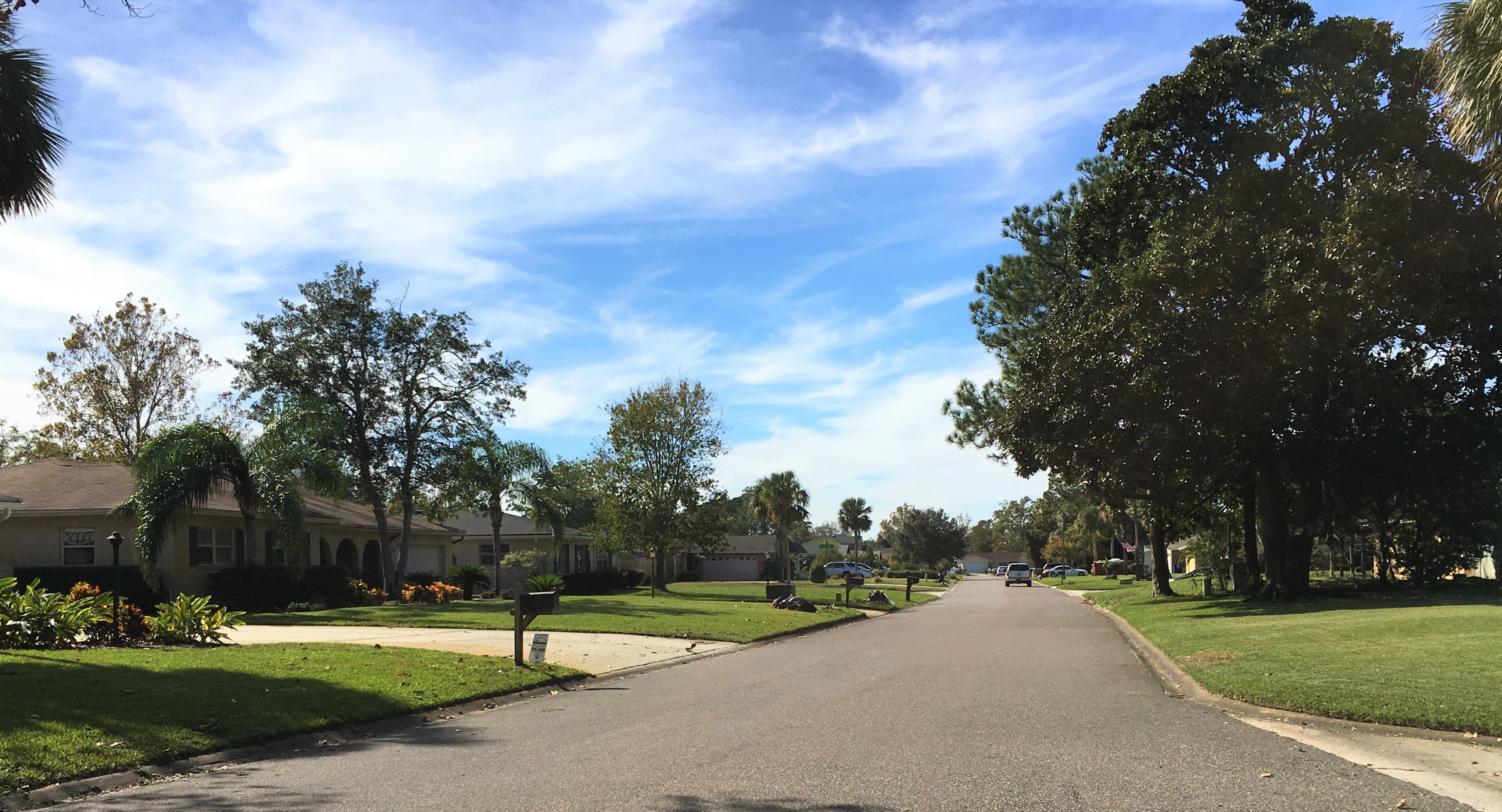 Dolphin Cove Ponte Vedra Homes For Sale